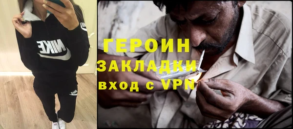 индика Арсеньев
