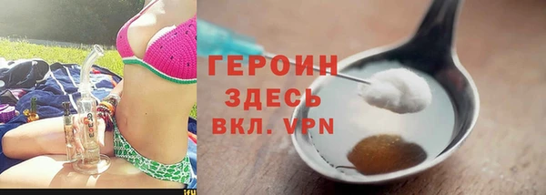 индика Арсеньев