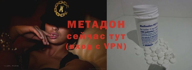 индика Арсеньев