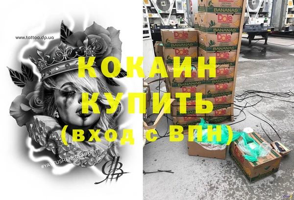 ГАЛЛЮЦИНОГЕННЫЕ ГРИБЫ Аркадак