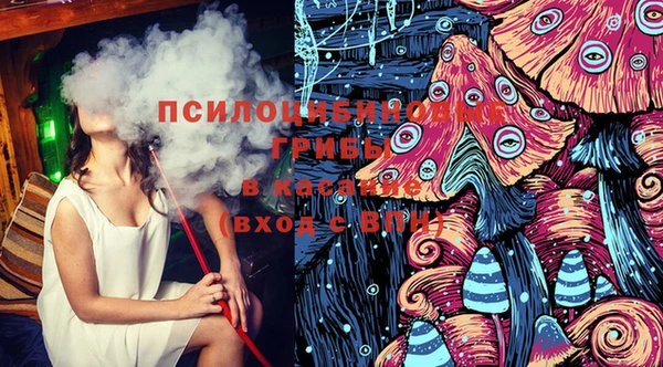 индика Арсеньев