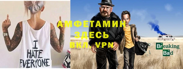 индика Арсеньев