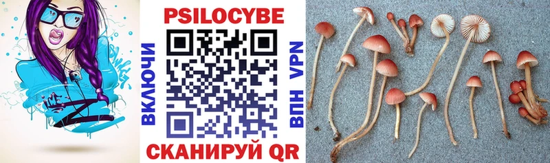 дарнет шоп  Верхняя Салда  Псилоцибиновые грибы Cubensis 