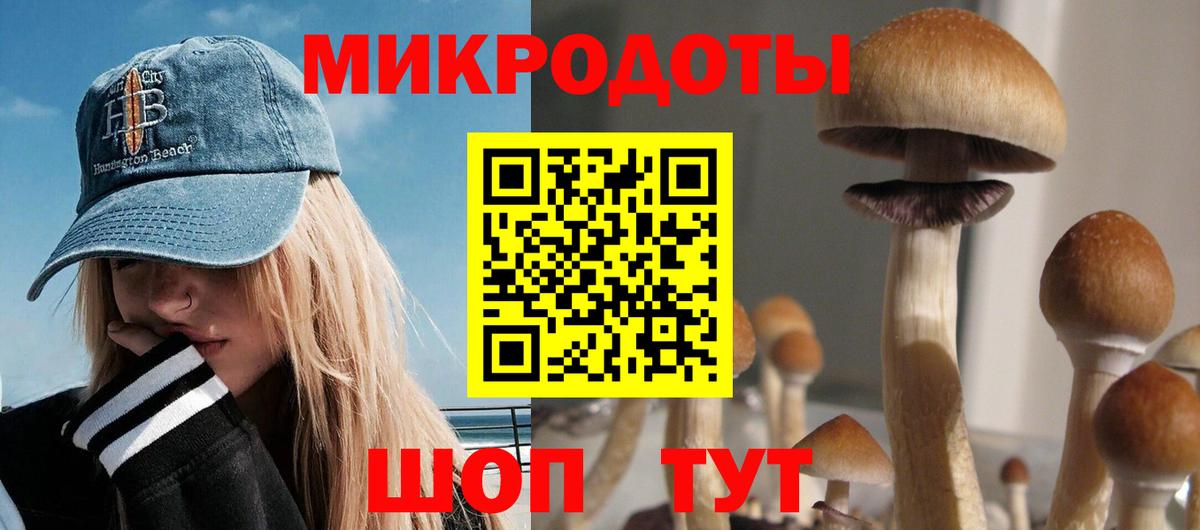 Галлюциногенные грибы ЛСД Верхняя Салда
