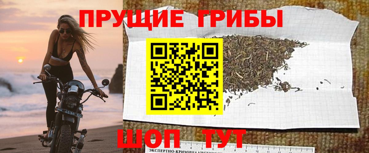 Верхняя Салда  Псилоцибиновые грибы Magic Shrooms  Вход с VPN 
